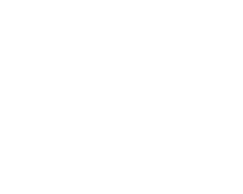 Camping Blues Festival